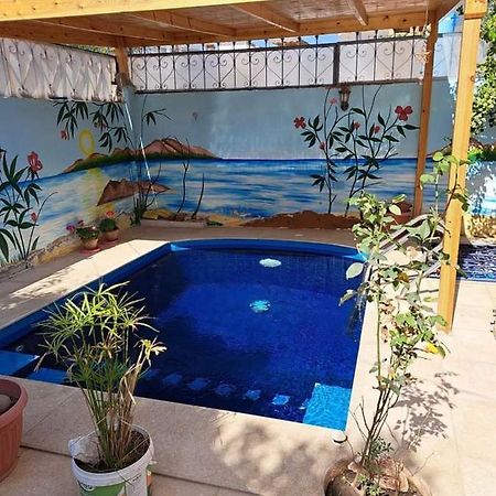 Villa Louise Guest House Luxor Buitenkant foto