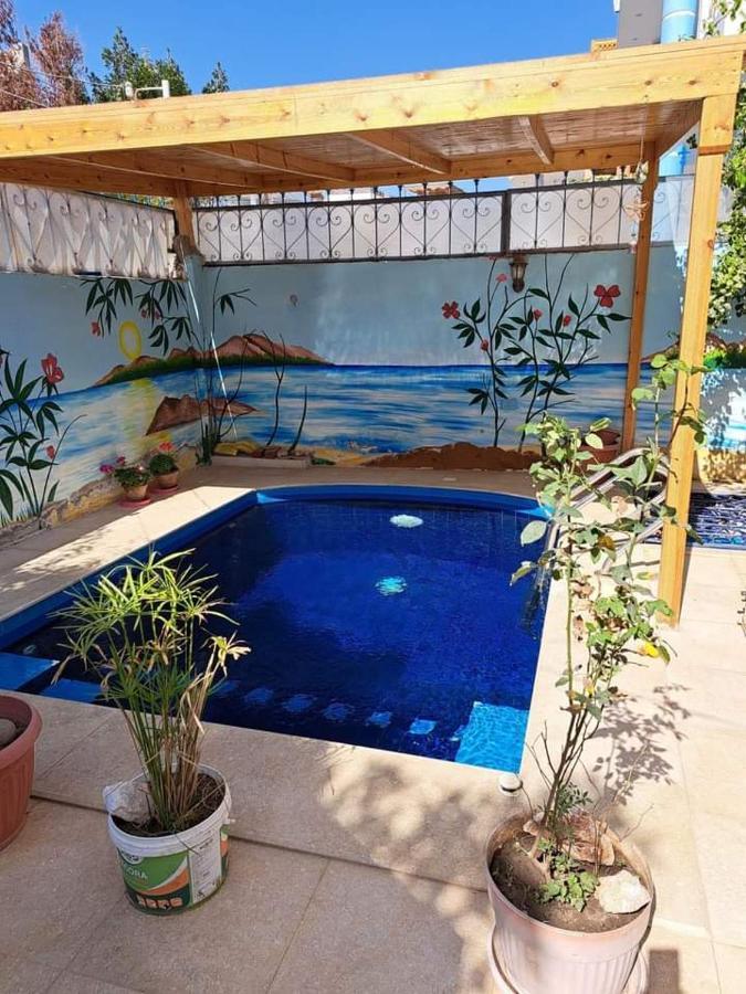 Villa Louise Guest House Luxor Buitenkant foto